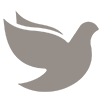 dove-icon